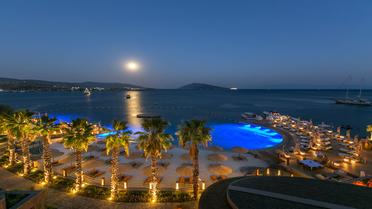 View of the hotel pool and palm trees by the sea